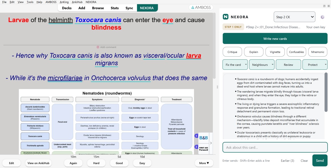 Anki showing a cloze card about Toxocara canis and blindness, with the Nexora panel open beside it explaining how the larvae reach the eye and how that differs from river blindness.